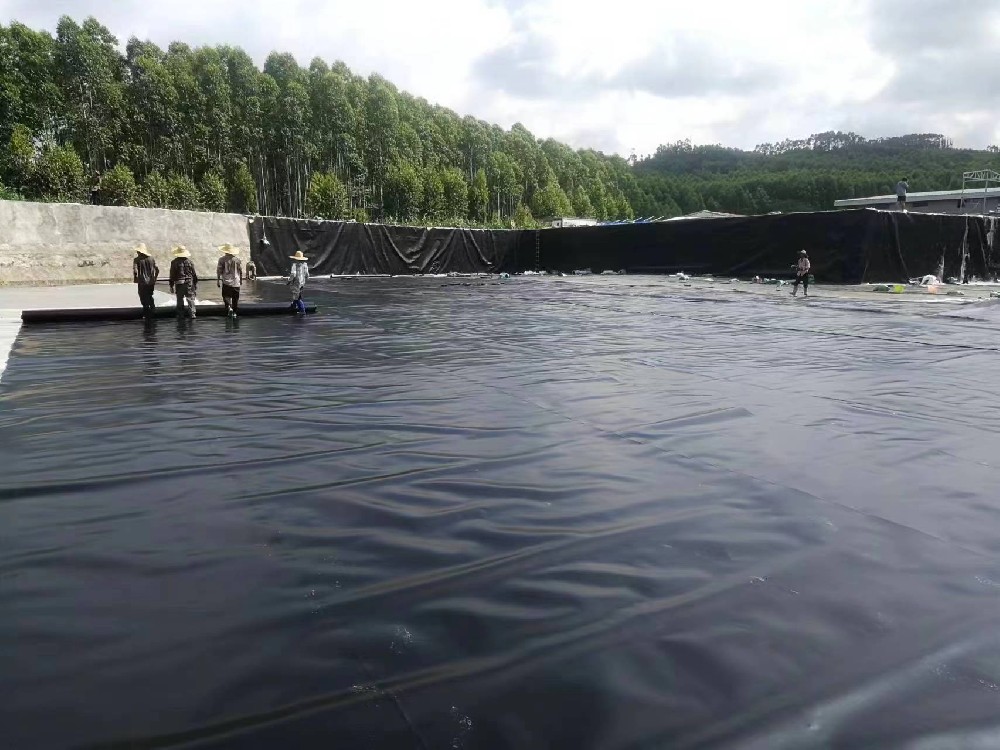 养殖场污水池用防渗膜